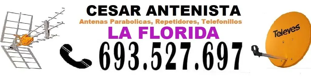 Empresa  de Antenistas La Florida